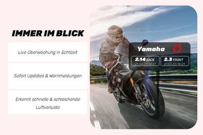 TireGuard | Kit TPMS – 2 capteurs